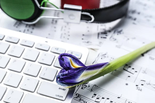 Computer keyboard and flower on music sheets, closeup