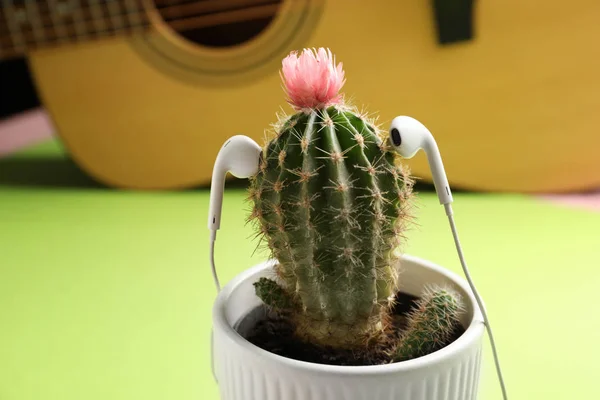 Creative Composition Cactus Earphones Table — Stock Photo, Image