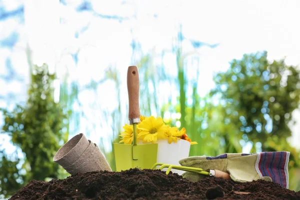 户外土壤中有鲜花的园艺工具 — 图库照片