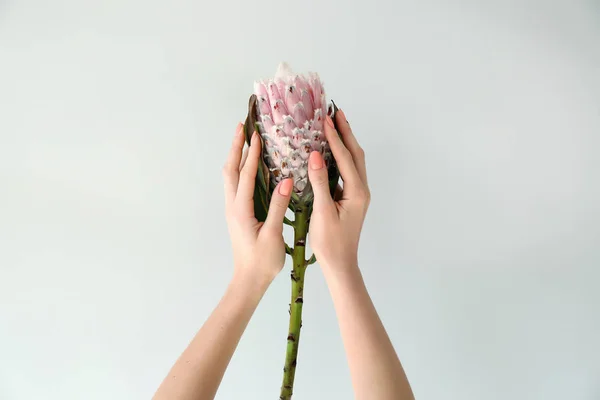Kobiece Ręce Trzymając Kwiat Tropikalnej Jasnym Tle — Zdjęcie stockowe