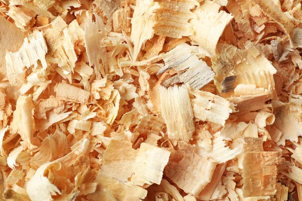 Texture Sawdust Closeup — Stock Photo, Image