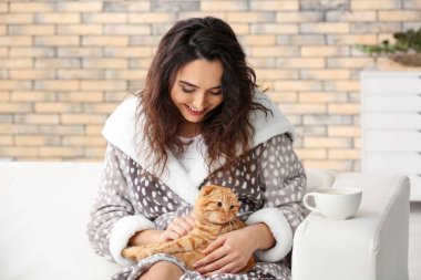 Şirin komik kedi evde olan kadın