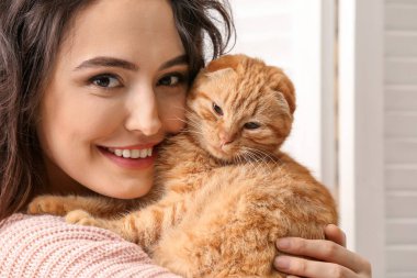 Şirin komik kedi evde olan kadın