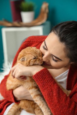 Şirin komik kedi evde olan kadın
