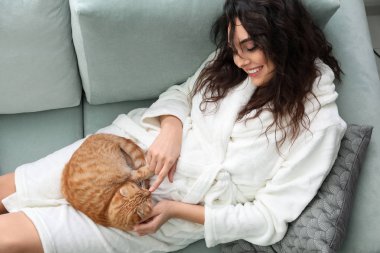 Şirin komik kedi evde olan kadın