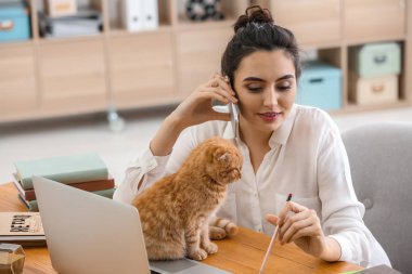 Şirin komik kedi evde çalışma ile genç kadın