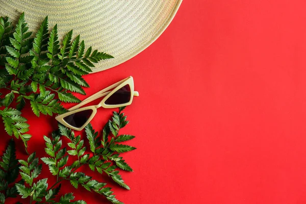 Óculos Sol Elegantes Com Chapéu Folhas Samambaia Fundo Cor — Fotografia de Stock