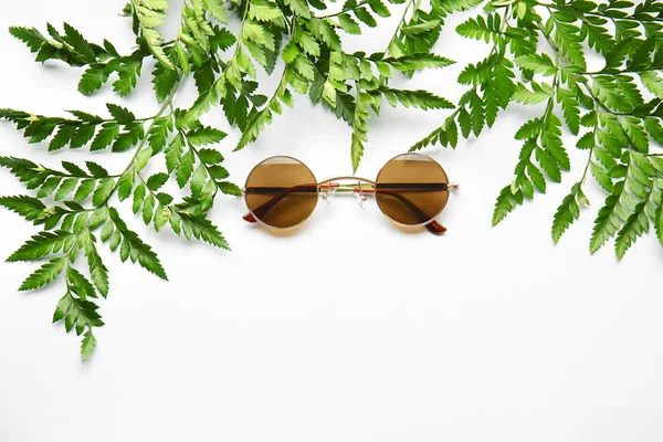 Stylish Sunglasses Fern Leaves White Background — Stock Photo, Image