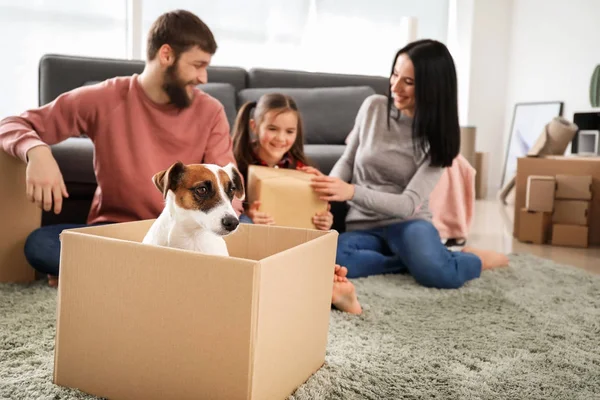 Cute Dog Cardboard Box Happy Family Moving New House — Stock Photo, Image