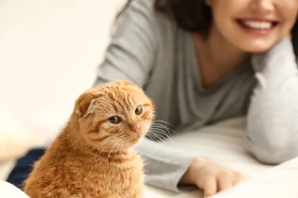 Cute Funny Cat Owner Home — Stock Photo, Image