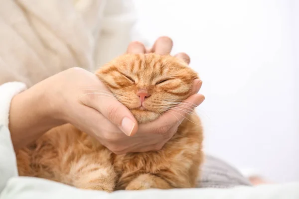 Jovem Mulher Com Gato Engraçado Bonito Casa — Fotografia de Stock