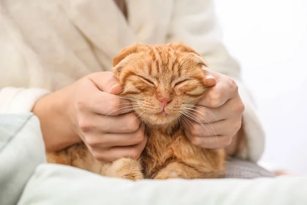 Jeune Femme Avec Chat Drôle Mignon Maison — Photo