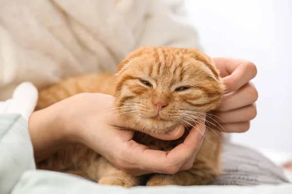 Jovem Mulher Com Gato Engraçado Bonito Casa — Fotografia de Stock