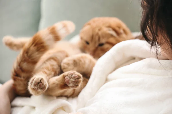 Jovem Mulher Com Gato Engraçado Bonito Casa — Fotografia de Stock