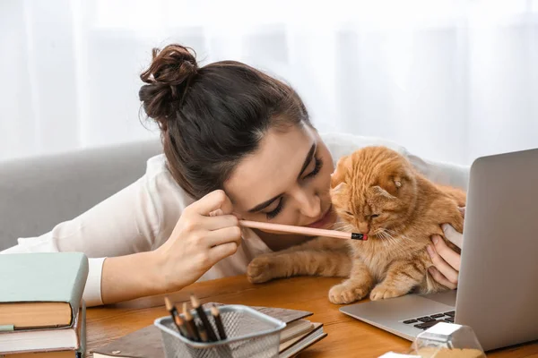 Young Woman Cute Funny Cat Working Home — Stock Photo, Image