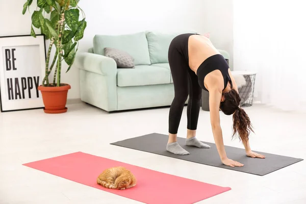 Junge Schwangere Frau Mit Süßer Lustiger Katze Praktiziert Yoga Hause — Stockfoto
