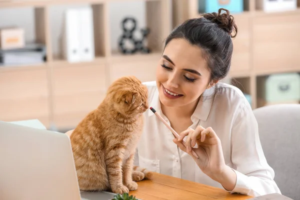 Young Woman Cute Funny Cat Working Home — Stock Photo, Image