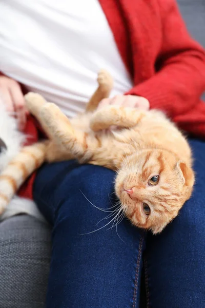 Jeune Femme Avec Chat Drôle Mignon Maison — Photo