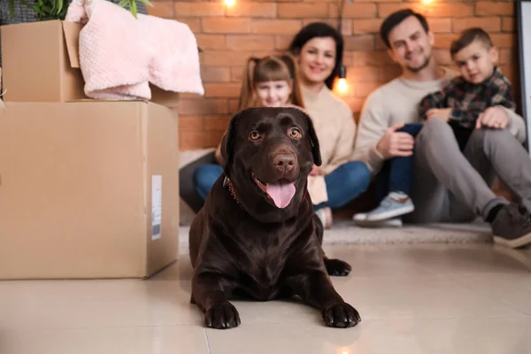 Family with cardboard boxes after moving into new house