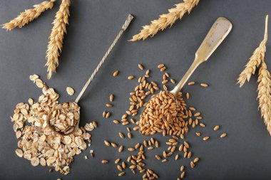 Kaşık yulaf gevreği ve gri arka plan üzerinde buğday taneleri ile