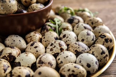Taze bıldırcın yumurtası, closeup ile plaka