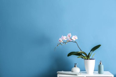 Güzel orkide çiçek ve renk arka plan karşı masada parfüm şişe