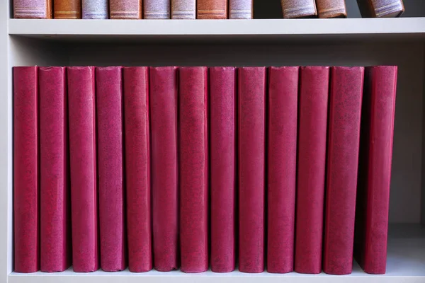 Pek çok kitap raf modern Kitaplığı'nda