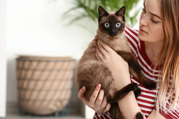 Young Woman Cute Funny Thai Cat Home — Stock Photo, Image