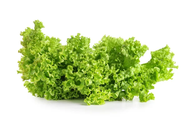 Verse Sla Salade Witte Achtergrond — Stockfoto