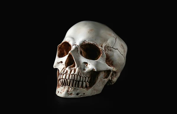 Human Skull Black Background — Stock Photo, Image