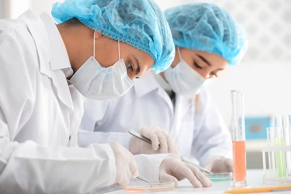 Jóvenes Doctores Trabajando Laboratorio — Foto de Stock