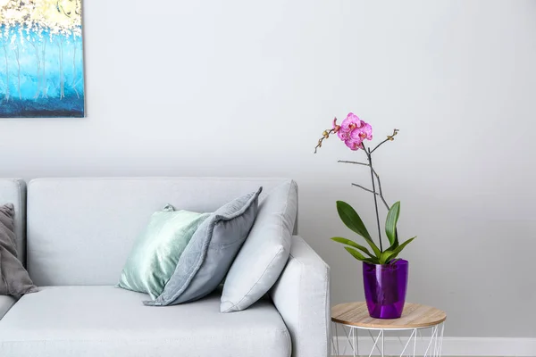 Indah Bunga Anggrek Interior Ruang — Stok Foto