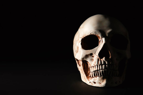 череп человека на черном фоне