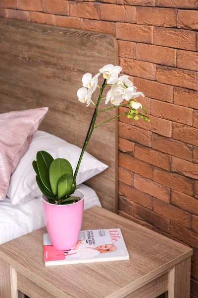 Pot Beautiful Orchid Flower Bedroom — Stock Photo, Image