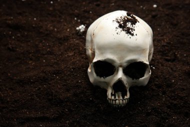 Yerde insan kafatası