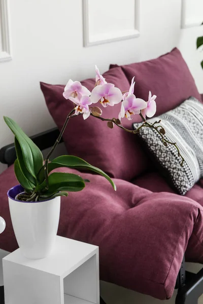 Mooie Orchidee Bloem Interieur Van Kamer — Stockfoto