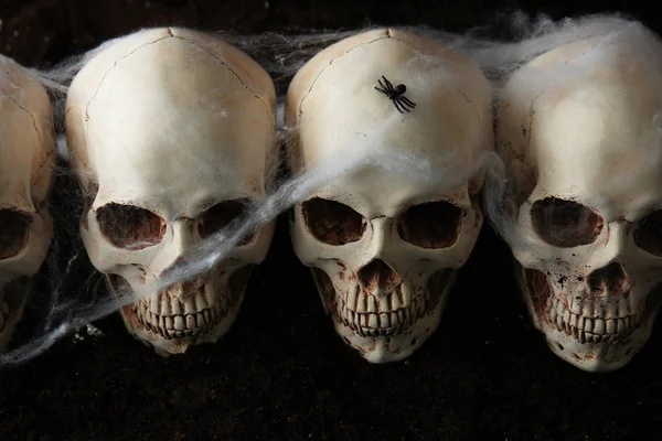 Crânios Humanos Com Teia Aranha Fundo Escuro — Fotografia de Stock