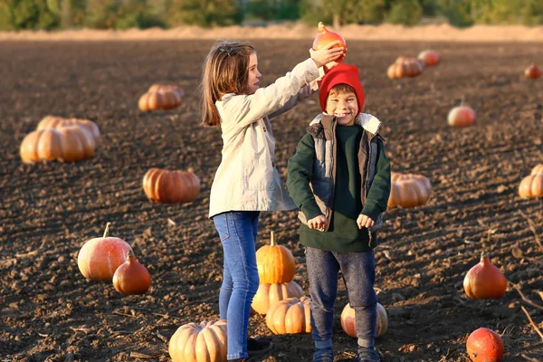 Crianças Pequenas Bonitos Com Abóboras Campo Outono — Fotografia de Stock