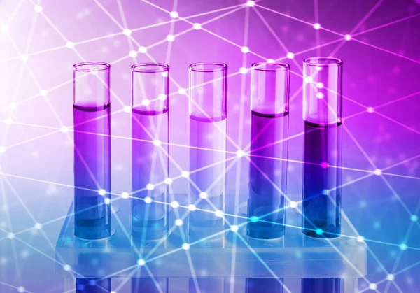 Test tubes with liquids in holder on color background