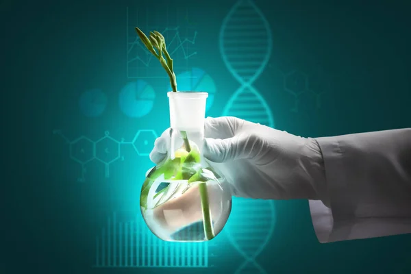 Wissenschaftler Hält Testkolben Mit Pflanze Auf Farbigem Hintergrund — Stockfoto