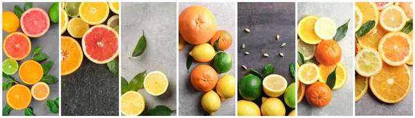 Koláž Různými Zralých Citrusových Plodů — Stock fotografie