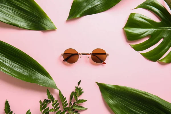 Stylish Sunglasses Tropical Leaves Color Background — Stock Photo, Image