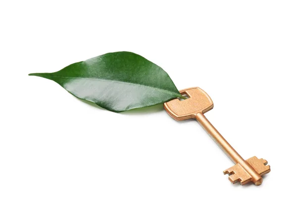 钥匙从房子和绿叶在白色背景 生态理念 — 图库照片