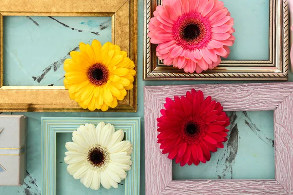 Mooie Compositie Met Frames Bloemen Kleur Achtergrond — Stockfoto