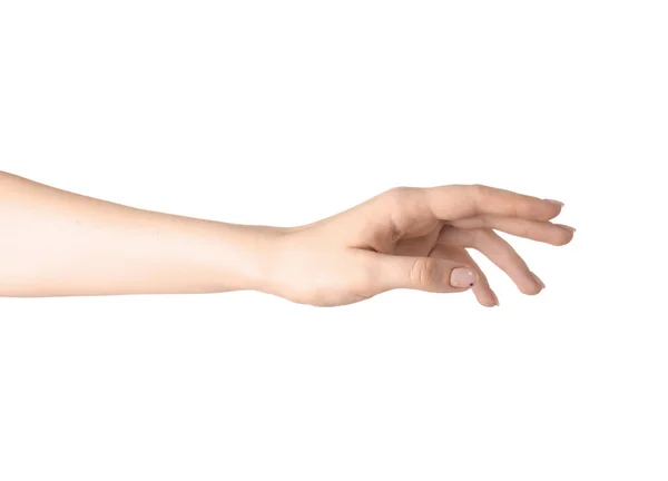 Mão Feminina Com Manicure Fundo Branco — Fotografia de Stock