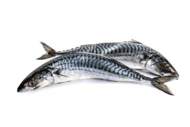 Beyaz zemin üzerine lezzetli çiğ uskumru balığı