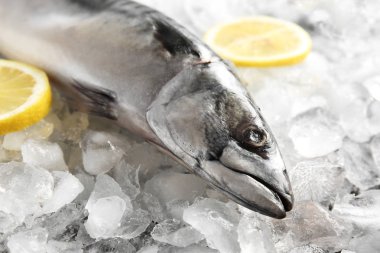 Lezzetli çiğ uskumru balığı buz limonlu