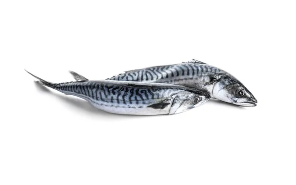 Смачна Сира Риба Білому Тлі — стокове фото