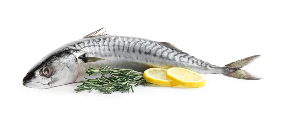 Chutné Makrely Syrové Ryby Bílém Pozadí — Stock fotografie