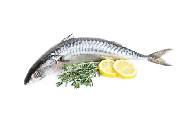 Tasty Raw Mackerel Fish White Background — Stock Photo, Image